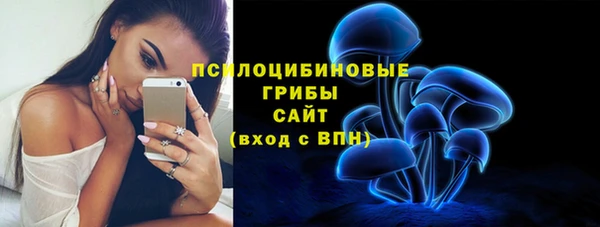 ECSTASY Алексеевка