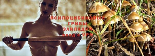 ешки Алексин