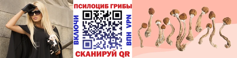 Галлюциногенные грибы прущие грибы  Хадыженск 